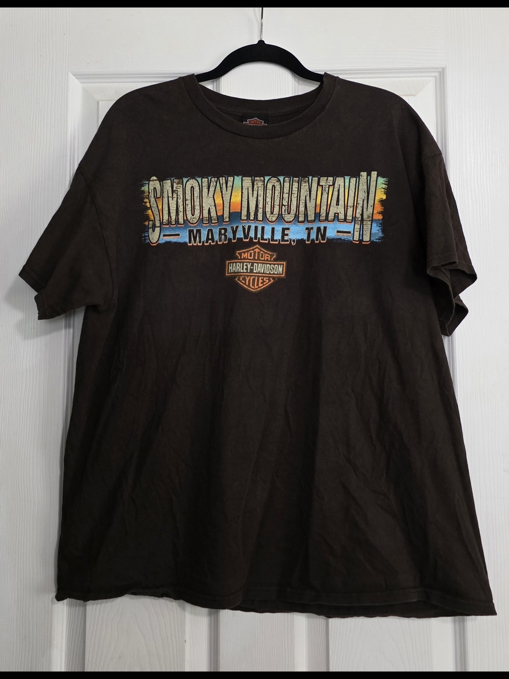 Smoky Mountain Harley-Davidson Graphic Tee - Brown